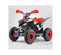 T-MOTO Mini Quad Sanchez 50cc a Benzina | Quad Bambini 2 Tempi Automatico per Prime Esperienze Off-Road in Area Privata | Ruote 6 | Uso in Area Privata con Supervisione Adulta