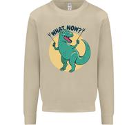 T-Rex Che Cosa Ora Divertente Dinosaur Uomo Felpa Maglione