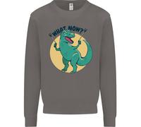 T-Rex Che Cosa Ora Divertente Dinosaur Uomo Felpa Maglione