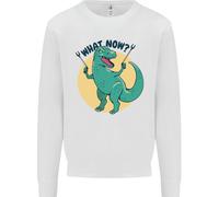 T-Rex Che Cosa Ora Divertente Dinosaur Uomo Felpa Maglione