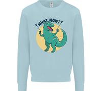 T-Rex Che Cosa Ora Divertente Dinosaur Uomo Felpa Maglione