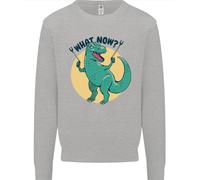 T-Rex Che Cosa Ora Divertente Dinosaur Uomo Felpa Maglione