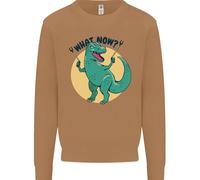 T-Rex Che Cosa Ora Divertente Dinosaur Uomo Felpa Maglione