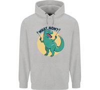 T-Rex Che Cosa Ora Divertente Dinosauro Uomo Felpa