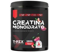 T-REX CREATINA MONO THE PE250G