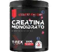 T-Rex Creatina Monoidrato Polvere – Gusto Frutti di Bosco – 250 g – Mercurio Free