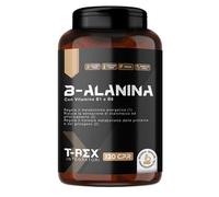 BETA-ALANINA - POST WORKOUT, VITAMINE B1-B6, 120 cpr, PRECURSORE CARNOSINA