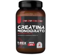 T-Rex Integratori Creatina Monoidrata Micronizzata - Integratore alimentare per massa muscolare e boost energetico pre workout (Polvere, 250 g (Confezione da 1))