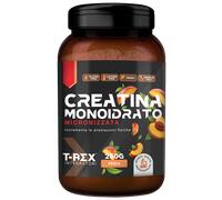 T-REX CREATINA MONO THE PE250G