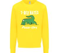 T-Rex Odia I Push Up Maglione Divertente Per Bambini Con Dinosauri