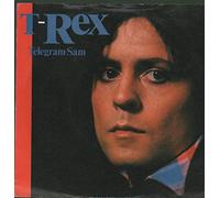 T-Rex / Tyrannosaurus Rex - Telegram Sam - 80s Picture sleeve