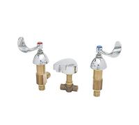 T&S Brass B-2485 - Rubinetto flessibile con beccuccio in ghisa, diametro 20 cm, con lancetta da 10 cm