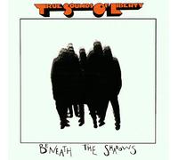 T.S.O.L. - Beneath The Shadows