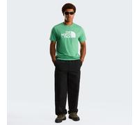 The North Face Evolution Half Dome Short Sleeve T-shirt Verde L Uomo