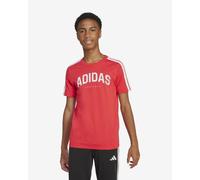 T-shirt adidas Codes Collegiate Graphic rosso junior - 128