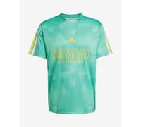 T-shirt adidas House of Tiro Nations Pack manica corta verde giallo - S