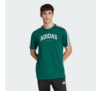 adidas sportswear - M C COLLEG TEE Verde - Abbigliamento - Taglia XL XL Verde