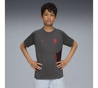 T-shirt con taschino AC Milan PUMATECH per ragazzi, Abbigliamento, Grigio, 5-6Y 5-6Y