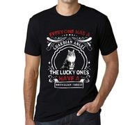 T-shirt da uomo - Tutti hanno un angelo custode I più fortunati hanno un gatto delle foreste norvegesi - T-shirt grafica eco-responsabile Regalo vintage Novità Stile e semplicità: Le nostre magliette