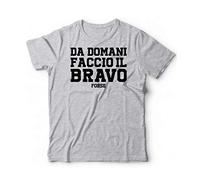 T-Shirt Divertente da Domani Faccio Il Bravo Viral Meme odio Tutti (L, Grigio)