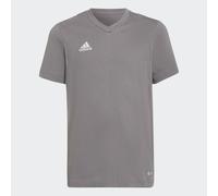 T-shirt Entrada 22 Team Grey Four 5-6A