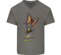 T-Shirt In Cotone A V Per Uomo Farfalla Evoluzione Bruco Farfalle