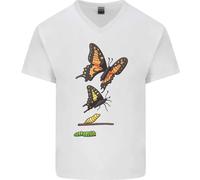 T-Shirt In Cotone A V Per Uomo Farfalla Evoluzione Bruco Farfalle