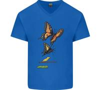 T-Shirt In Cotone A V Per Uomo Farfalla Evoluzione Bruco Farfalle