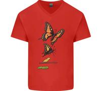 T-Shirt In Cotone A V Per Uomo Farfalla Evoluzione Bruco Farfalle
