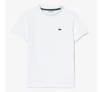 T-shirt Lacoste In Cotone Basic Junior TJ1122
