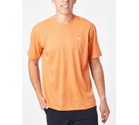 Lacoste Maglietta Uomini