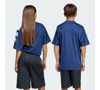 T-SHIRT LOOSE BATWING SANTIAGO Night Indigo / Collegiate Royal 15-16A