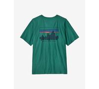T-shirt Patagonia 73 Skyline manica corta verde - S