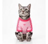 T-SHIRT PER ANIMALI DOMESTICI CALI Clear Pink / Real Pink XL