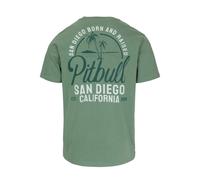 T-Shirt Pitbull Uomo San Diego Born Regular Fit In Menta 100% BW
