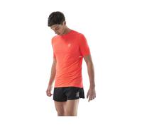 Compressport Pro Racing L