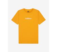T-shirt Quiksilver Fineline manica corta arancione bianco bambino - 16