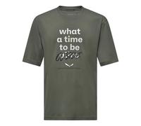 Salewa Eagle Outside Loose Short Sleeve T-shirt Verde 2XL Uomo
