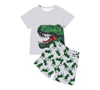 T Shirt - Set di magliette e pantaloncini con stampa dinosauro per ragazzi per il tempo libero e lo sport, grigio chiaro., 6-7 Anni