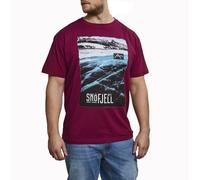 T-Shirt Stampata In Cotone Puro Premium 564 "73127"