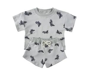 T Shirt T Shirt - Set di 2 pezzi per neonati, maglietta e pantaloncini con stampa dolce, grigio., 2-3 Anni