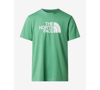 T-shirt The North Face Half Dome Evolution verde bianco - L