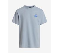 T-shirt The North Face Mountain Celebration grigio chiaro - S