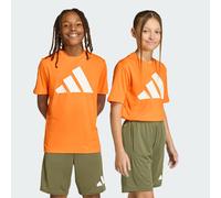 T-shirt TRAIN ESSENTIALS BIG LOGO T-SHIRT Pure Orange / White 5-6A
