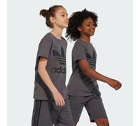 T-shirt Trefoil Grey Five 11-12A