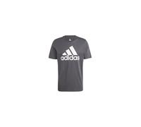 adidas Uomo Essentials Single Jersey Big Logo Tee, DGH Solid Grey, S