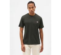 T-shirt uomo mapleton Dickies