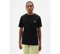 T-shirt uomo mapleton Dickies