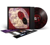 T-Tops Staring at a Static Screen (Vinyl LP) 12" Album