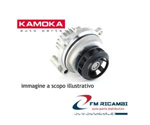 T0087 KAMOKA POMPA ACQUA CITROEN C1 05'->; C2 03'-> C3 02'->; DS3 10'->; NEMO 08
